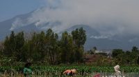 Kawasan hutan Gunung Lawu terbakar