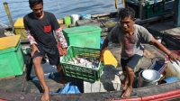 KKP perkuat pengawasan penangkapan ikan ilegal di perbatasan