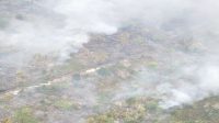 Kapolda Kalteng gunakan helikopter pantau karhutla